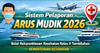 Sistem Pelaporan Arus Mudik 2026